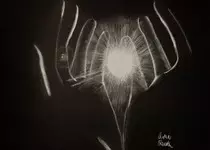 hands.jpg