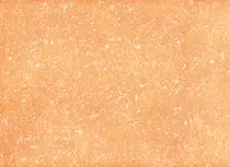 img/fondo.jpg