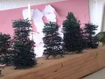 images/trees1.jpg