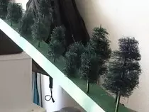 images/trees2.jpg