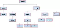 img/arbol.jpg