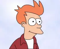 udacity/images/fry.jpg