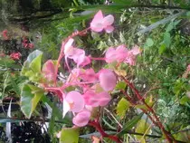 img/Jardin_02.jpg