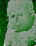 y thoedited.jpg
