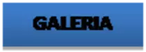 GALERIA_archivos/image002.png