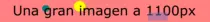 d1100.png