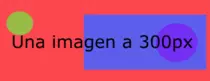 d300.png