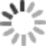 theme/loading.gif