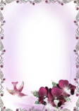 Large_Silver_and_Purple_Transparent_Frame_with_Flowers.png