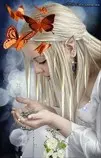 elf_butterflies.jpg