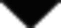 assets/triangle.gif