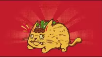 craytacocat.jpg