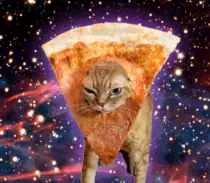 psygcat.gif
