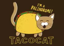 tacocatpalindrome.png