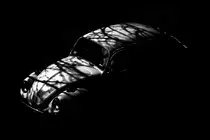 images/portfolio/modals/m-beetle.jpg