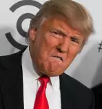 Images/Donald trump, inspiration.jpg