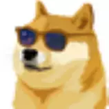 img/doge.png