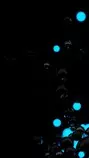 black-and-blue-spheres-3d-mobile-wallpaper-1080x1920-4390-3368037724.jpg