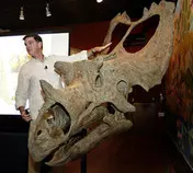 assignmentFeb11/images/sampson_dinosaur.jpg