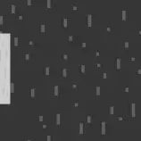 Firetruck/Assets/asphalt2.png