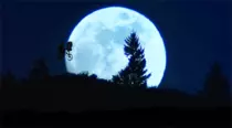 ET.gif