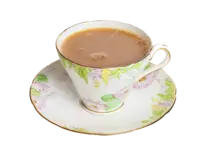 cup1-nobkg.png
