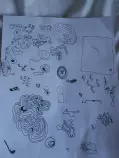 images/doodle/the copyright sets/set 1/5 - the portrait.jpg