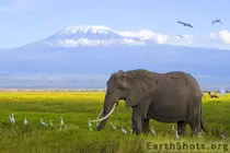 Modulo_02/img/Elefante.jpg