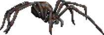 02.gif