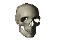 09.gif