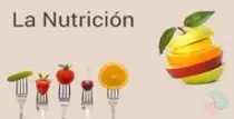 ClinicaJerusalen/images/p3.jpg