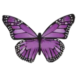 mariposa.png