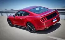 mustang.jpg