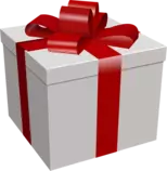 frogger/present.png