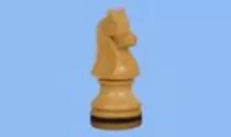 img/knight.jpg