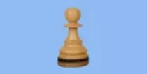 img/pawn.jpg