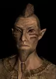 html/M-Bosmer.jpg