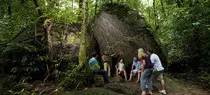 css/images/daintree.jpg