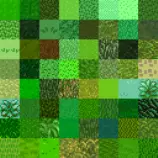 Gras.png