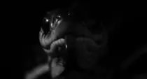 Ivan_Boreski2/Document_files/002.gif