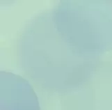 bwa.png