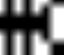 blackant.png