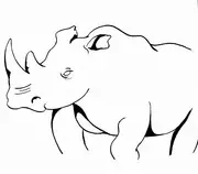 blue lake rhino.jpg