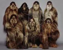 ProyectoFinal+/images/WookieeWarriors.jpg