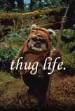 menu/funny-ewok-thug-life.jpg