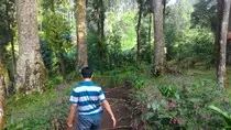 P_20160413_082737.jpg