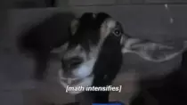 polynomials/resources/meme.gif