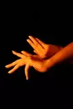 images/Pict2.jpg