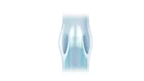 images/logoAnime.gif