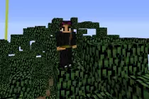 minecraft/minecmdskins/images/FDBES2.png